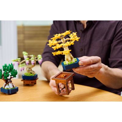 10. LEGO 10373 Botanical Collection - Small Bonsai Trees