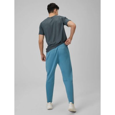 2. Men's quick-drying training pants 4F 4FRSS26TFTRM1412-32S