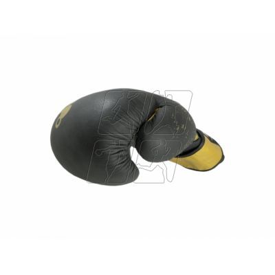 4. Boxing gloves Masters Rbt 01256-Gold-10