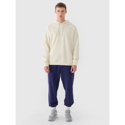 6. Men's jogger sweatpants 4F 4FWMM00TTROM1139-31S