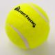 4. Meteor tennis ball 3 pcs 19000
