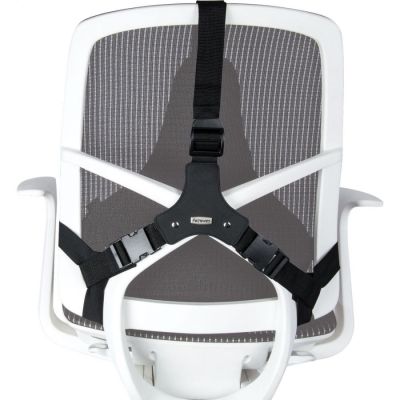 4. Fellowes Ergonomics Professional Back Support Cushion