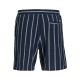 8. Jack&Jones men's striped shorts JPSTJAIDEN COBA STRIPE JOG SHORTS REG SN 12274413 SKY CAPTAIN/STRIPES