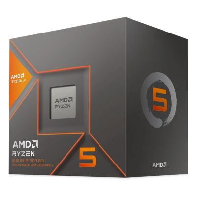 2. AMD Ryzen 5 8600G processor