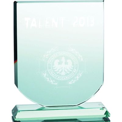3. 3D engraved glass trophy with case