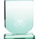 3. 3D engraved glass trophy with case