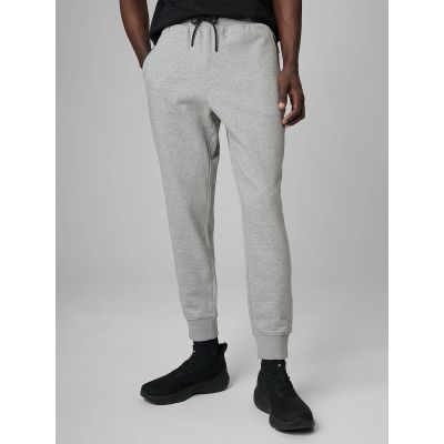 3. Men's jogger sweatpants 4F 4FRMM00TTROM2020-27M