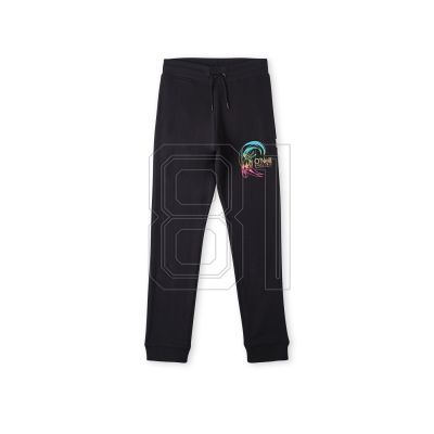 O&#39;Neill Circle Surfer Jogger Jr Pants 92800614937