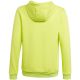 2. Sweatshirt adidas Entrada 22 Hoody Jr HC5069