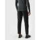 2. Men's quick-drying training pants 4F 4FWAW24TFTRM684-20S