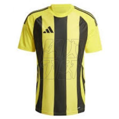 Adidas Striped 24 JSY M T-shirt IW2146