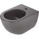 Wall-hung bidet