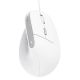 7. Trust BAYO II ERGONOMIC White Mouse