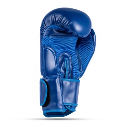 5. 10oz Boxing Gloves - Tournament Blue