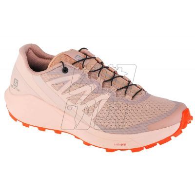 5. Shoes Salomon Sense Ride 4 W 414503