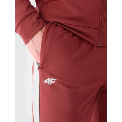 6. Men's quick-drying training pants 4F 4FRAW24TFTRM0933-61S