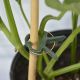 4. PLANT CLIPS 20 PCS PROGARDEN