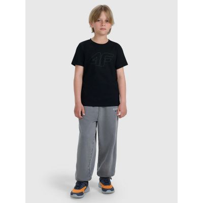 2. Boy's regular printed T-shirt 4F 4FJRMM00TTSHM3255-20S
