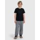 2. Boy's regular printed T-shirt 4F 4FJRMM00TTSHM3255-20S