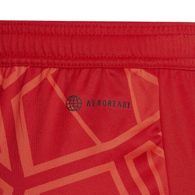 4. adidas Condivo 22 kids' goalkeeper shorts red H21243