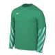 Nike Dri-FIT Park V Long Sleeve T-Shirt HV8314-324