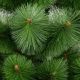 3. Klara PVC Line Christmas Tree, Non-Split, 200 cm