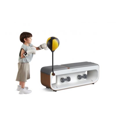 6. Kingsmith FBB1C Multifunctional Workout Bench