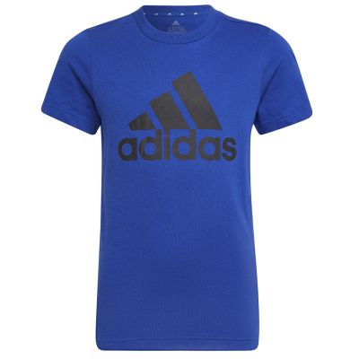 6. adidas Big Logo Tee Jr HP0840