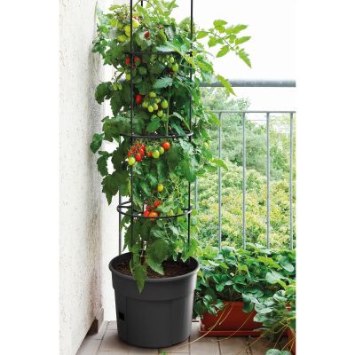 24. TOMATO PLANTING POT WITH LADDER CAPACITY 12L