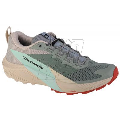 5. Shoes Salomon Sense Ride 5 W 472123