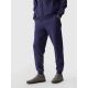 7. Trousers 4F M 4FWMM00TTROM0943-31S
