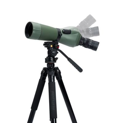 8. Celestron Regal M2 65ED Scope 48x BaK-4 Black, Green