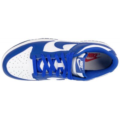 3. Nike Dunk Low Retro M DV0833-103 shoes