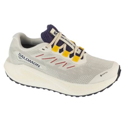 Salomon Aero Blaze 3 Grvl GTX W L47974100 Gray 38