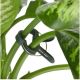 31. PLANT CLIPS 20 PCS KINZO