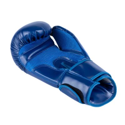 21. 10oz Boxing Gloves - Tournament Blue
