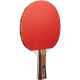 8. JOOLA FAMILY TABLE TENNIS SET 4 COMPETITION RACKETS 6 ADVANCED BALLS
