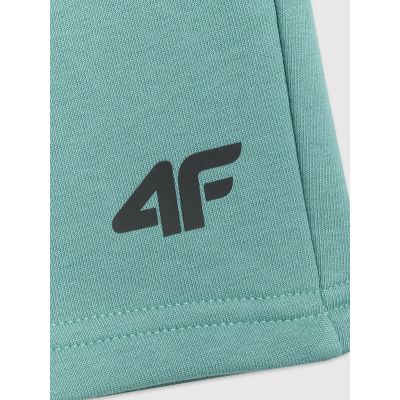 8. Men's sweatpants 4F 4FRSS26TSHOM0970-47S