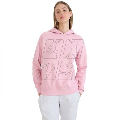 2. Sweatshirt 4F F1764 W 4FWMM00TSWSF1764 56S