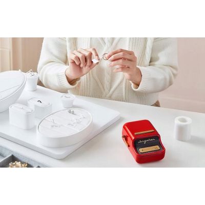 17. Niimbot B21S Red Label Printer