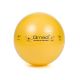 Rehabilitation Ball with ABS System and Pump, 45 cm