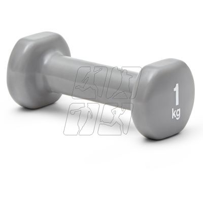 11. Dumbbell Reebok 1 KG RAWT-16151