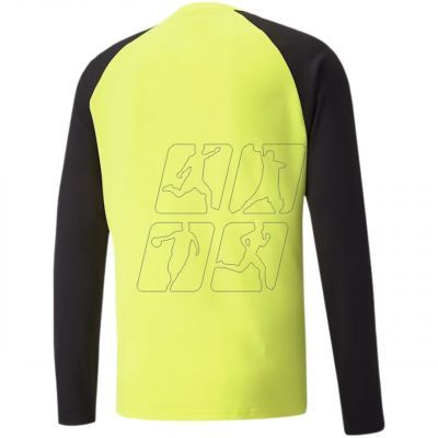 2. Goalkeeper jacket Puma teamPACER GK LS M 704933 42