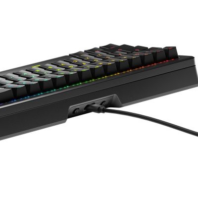 5. Glorious Gaming GLO-KB-GMMK3-PRO-65-PB-FOX-W-BLK-US keyboard