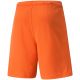 4. Puma teamRise Short Prist M 704942 08