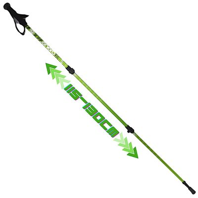 17. NORDIC WALKING TRAVEL POLES IN ENERO CASE