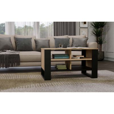 5. COFFEE TABLE MODERN 4P ARTISAN BLACK LEG