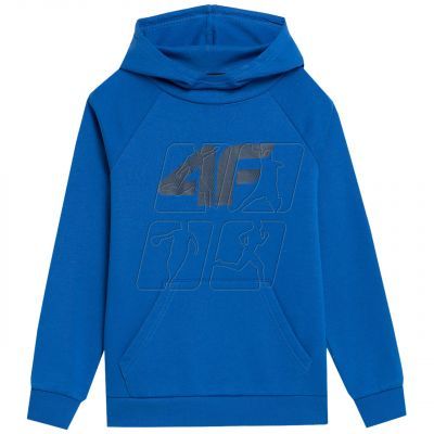 3. Sweatshirt 4F Jr. 4FJSS23TSWSM220 36S