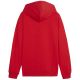 4. Puma Team Goal Casuals Hoddy Jr sweatshirt 658619 01