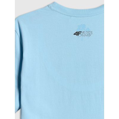 6. Men's regular printed T-shirt 4F 4FRSS26TTSHM4291-34S